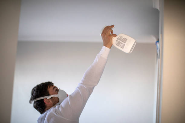 Best Mold Testing and Inspection Services in Stayton, OR